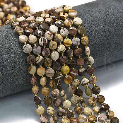 Natural Zebra Jasper Beads Strands G-K389-B69-01-1