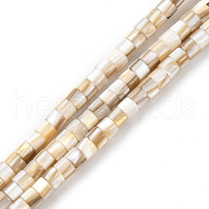 Natural Freshwater Shell Beads Strands X-SHEL-R129-05-1