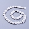 Natural Howlite Beads Strands G-G805-C11-1