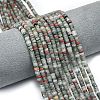 Natural African Bloodstone Beads Strands G-P575-B11-4x2mm-1