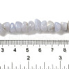 Natural Blue Lace Agate Beads Strands G-NH0017-C02-01-5