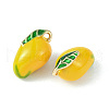 Brass Enamel Charms KK-G462-38LG-2