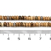 Natural Picture Jasper Beads Strands G-H292-A23-01-5