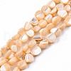 Natural Trochid Shell/Trochus Shell Beads Strands SSHEL-N032-49-A07-1