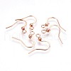 316 Surgical Stainless Steel Earring Hooks X-STAS-P220-13RG-1