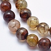 Natural Dragon Veins Agate Beads Strands G-K256-62-10mm-3