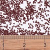 MIYUKI Delica Beads X-SEED-J020-DB1262-4
