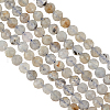 Olycraft 2 Strands Natural Labradorite Beads Strands G-OC0004-46-1