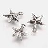 Tibetan Style Alloy Pendants PALLOY-F131-03-1