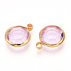 K9 Glass Charms X1-GLAA-T023-37A-03-2