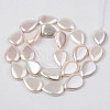 Electroplate Natural Freshwater Shell Beads Strands SHEL-R049-026B-2