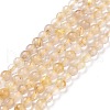 Natural Gold Rutilated Quartz Beads Strands G-C009-C04-1
