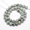 Natural Sesame Jasper/Kiwi Jasper Beads Strands G-L147-8mm-01-2