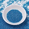 MIYUKI Delica Beads SEED-X0054-DB0862-2