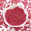 Glass Seed Beads SEED-A033-02A-04-2