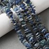 Natural Kyanite Beads Strands G-J403-01-5