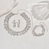 Alloy Rhinestone Link Chain Necklaces & Stud Dangle Earrings & Bracelets Sets FS-WG454B6-04-1