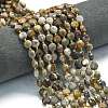 Natural Gobi Agate Beads Strands G-C116-A21-02-1