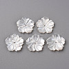 Natural White Shell Mother of Pearl Shell Beads SSHEL-R144-37-1