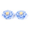 Resin Decoden Cabochons CRES-T025-04C-1