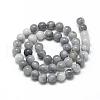 Natural Hawk's Eye Beads Strands G-R446-8mm-17-2