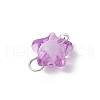 Transparent Acrylic Pendants PALLOY-JF03839-01-5
