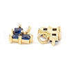Rack Plating Brass Micro Pave Cubic Zirconia Charms ZIRC-I057-25G-3
