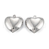 Non-Tarnish 316 Surgical Stainless Steel Pendants STAS-C026-15A-P-2