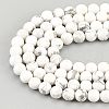 Olycraft 4 Strands Natural Howlite Beads Strands TURQ-OC0001-02A-3