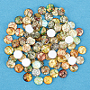   100Pcs Glass Cabochons GLAA-PH0001-16A-6