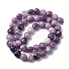 Natural Lepidolite/Purple Mica Stone Beads Strands G-C179-A38-03-3
