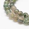 Natural Moss Agate Beads Strands G-F453-6mm-3