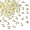 Acrylic Cabochons MRMJ-T063-217-1