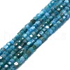 Natural Apatite Beads Strands G-P457-B01-14-1
