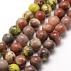 Natural Plum Blossom Jasper Beads Strands G-A163-02-10mm-1