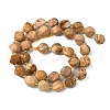 Natural Picture Jasper Beads Strands G-U023-A09-01-3