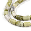 Natural Jade Beads Strands G-N346-01B-13-4