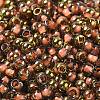 Glass Seed Beads X1-SEED-H002-B-D204-3