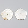 Natural Freshwater Shell Beads SSHEL-R048-001-2