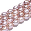 Natural Cultured Freshwater Pearl Beads Strands PEAR-N012-06W-3