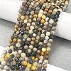 Natural Bumblebee Jasper Beads Strands G-L597-C03-02-2
