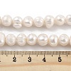 Natural Cultured Freshwater Pearl Beads Strands PEAR-C003-01C-5
