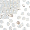 Preciosa® MAXIMA Crystal Round Stones X-PRC-RBSS24-01000-1
