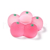 Translucent Resin Cabochons CRES-A049-06C-4