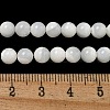 Natural Sea Shell Beads Strands SSHEL-K013-6mm-A-4