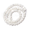 Natural Trochid Shell/Trochus Shell Beads SSHEL-O001-25B-02-1