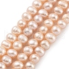 Natural Cultured Freshwater Pearl Beads Strands PEAR-C003-13A-2