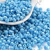 Baking Paint Glass Seed Beads X1-SEED-A032-02G-1