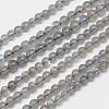 Natural Labradorite Round Bead Strands G-M263-A-03-1