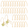Unicraftale 50Pcs Ion Plating(IP) 304 Stainless Steel Earring Hooks STAS-UN0058-58-1